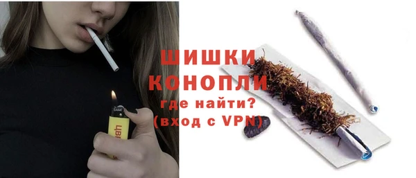 PSILOCYBIN Няндома