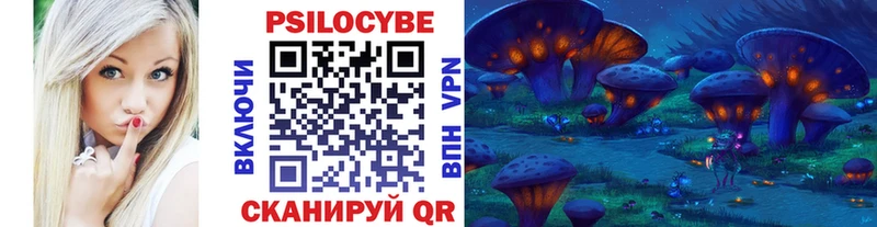 где купить наркоту  Суздаль  Псилоцибиновые грибы Cubensis 